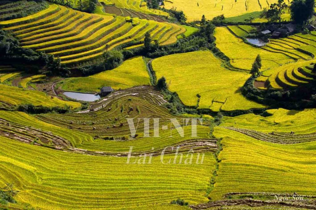 Văn học nghệ thuật Lai Châu