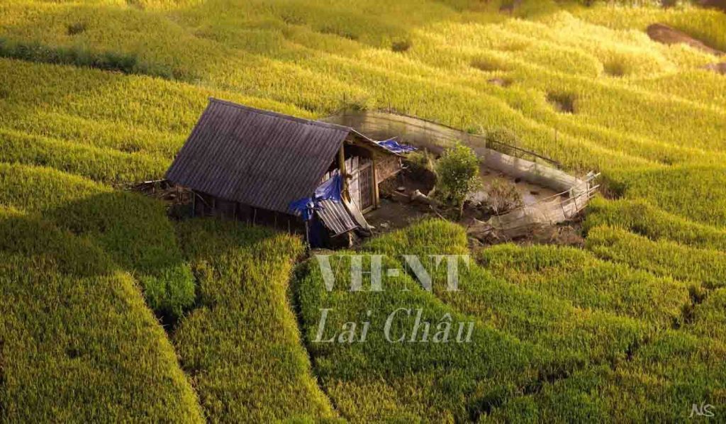 Văn học nghệ thuật Lai Châu