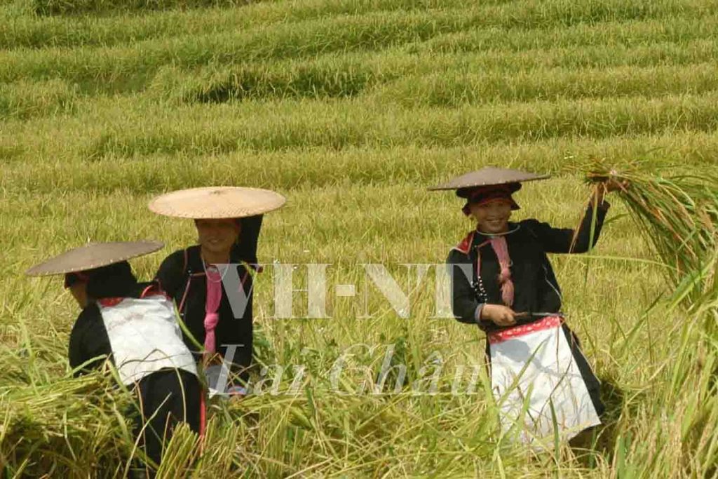 Văn học nghệ thuật Lai Châu