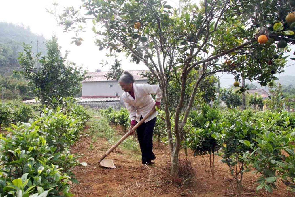 Văn học nghệ thuật Lai Châu