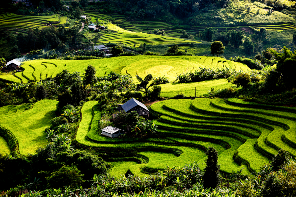 Văn học nghệ thuật Lai Châu