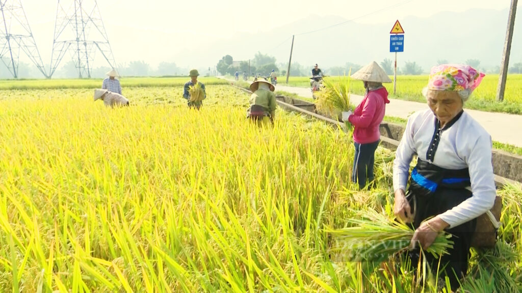 Văn học nghệ thuật Lai Châu