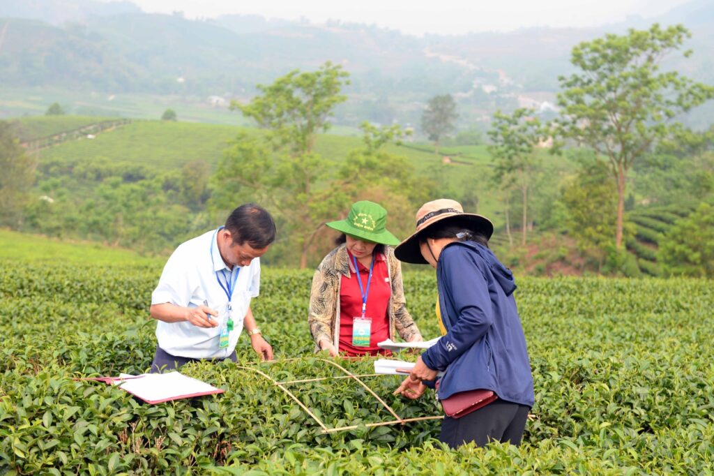 Văn học nghệ thuật Lai Châu