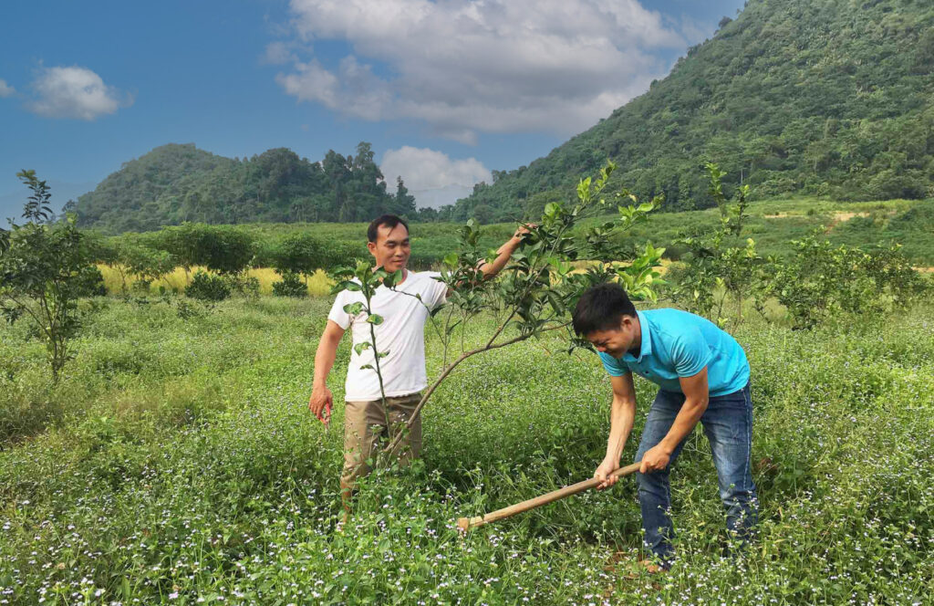 Văn học nghệ thuật Lai Châu