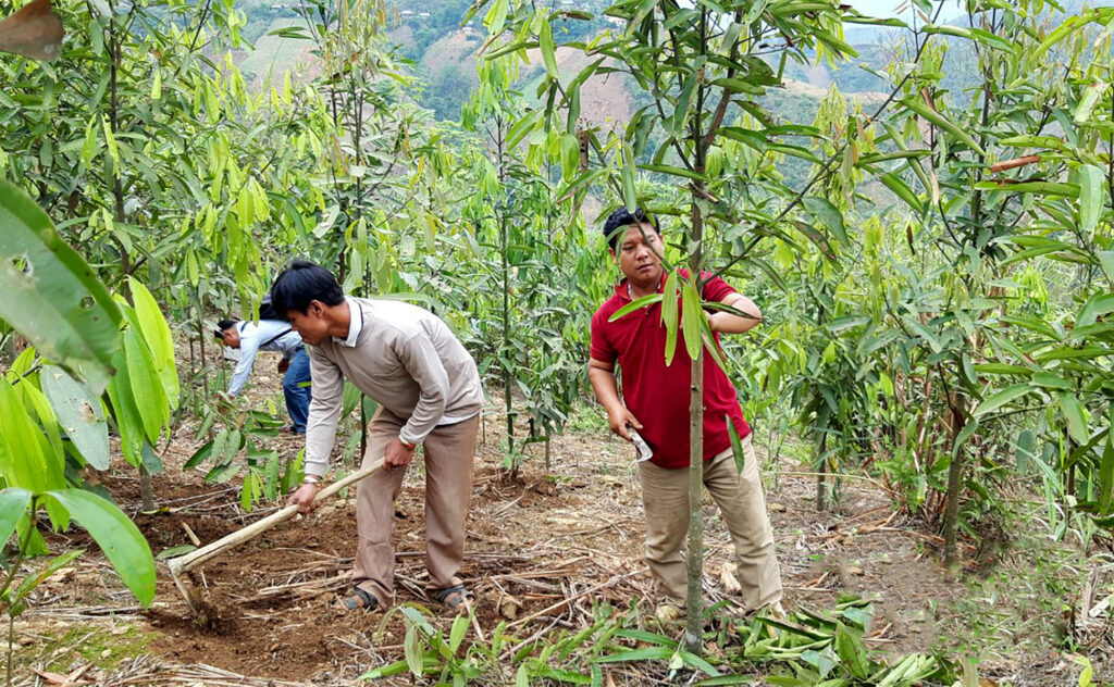 Văn học nghệ thuật Lai Châu